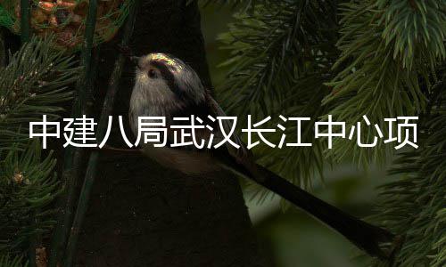 武汉大会中建中心项目八局举行长江誓师千人